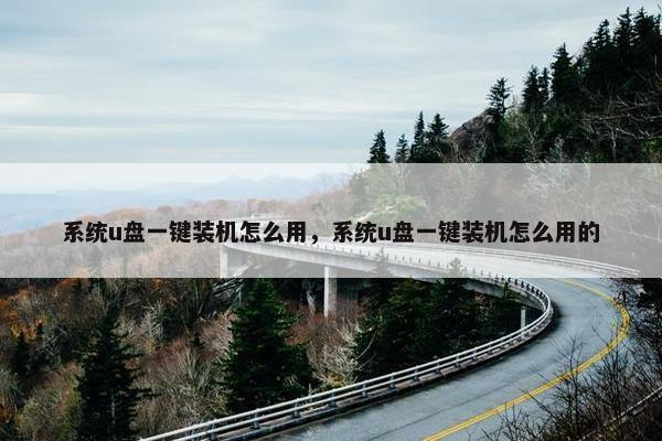 系统u盘一键装机怎么用，系统u盘一键装机怎么用的