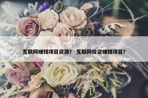 互联网赚钱项目资源？ 互联网投资赚钱项目？