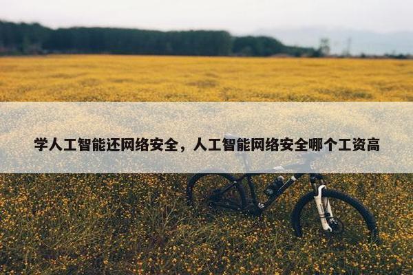 学人工智能还网络安全，人工智能网络安全哪个工资高