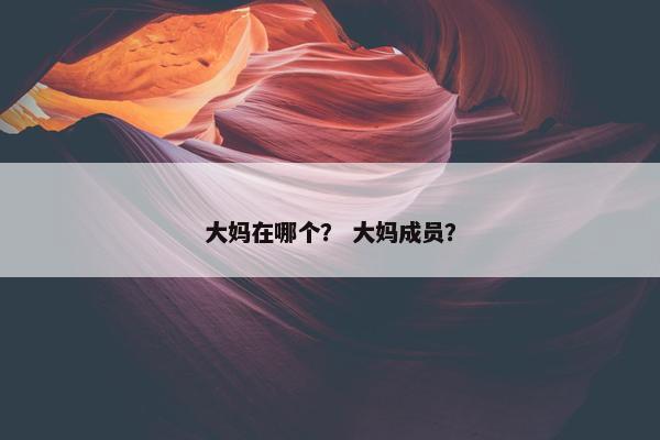 大妈在哪个？ 大妈成员？