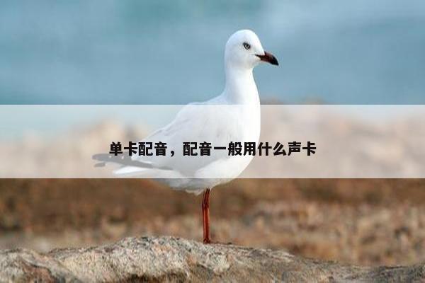 单卡配音，配音一般用什么声卡
