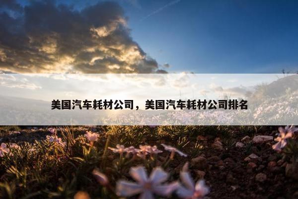 美国汽车耗材公司，美国汽车耗材公司排名