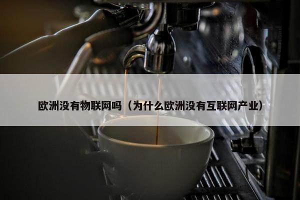欧洲没有物联网吗（为什么欧洲没有互联网产业）