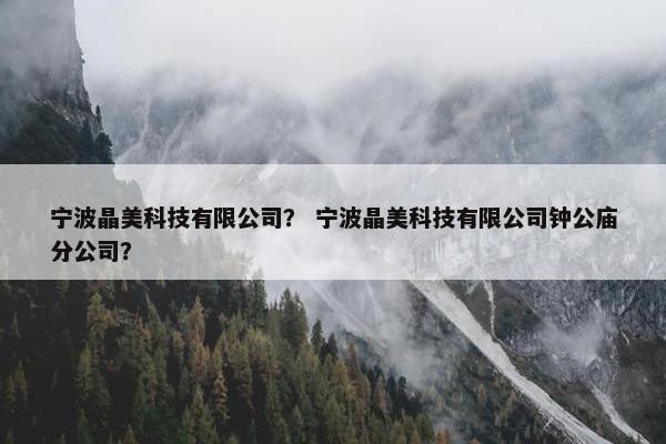 宁波晶美科技有限公司？ 宁波晶美科技有限公司钟公庙分公司？