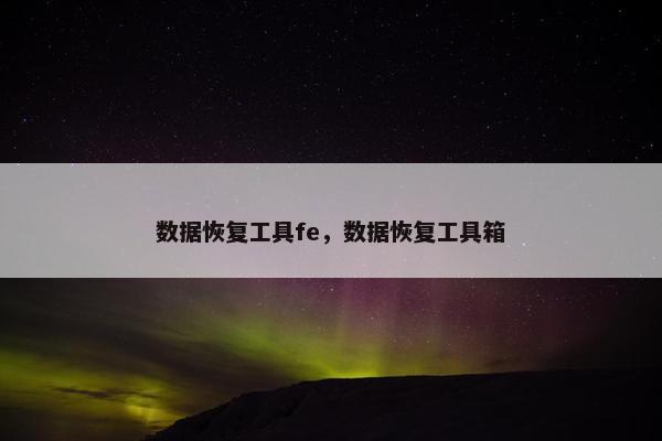 数据恢复工具fe，数据恢复工具箱