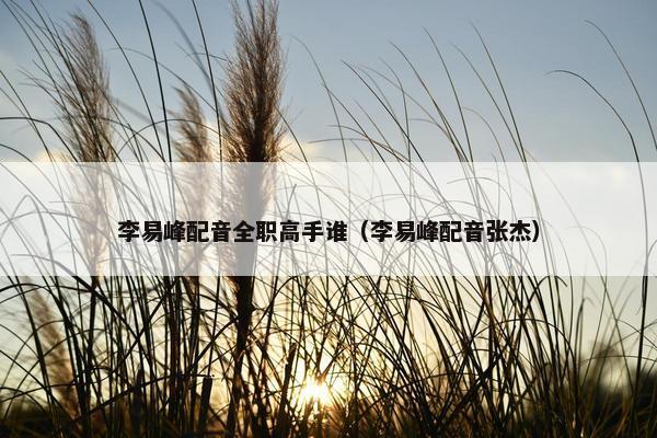 李易峰配音全职高手谁（李易峰配音张杰）