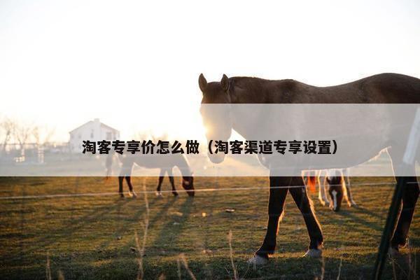 淘客专享价怎么做（淘客渠道专享设置）