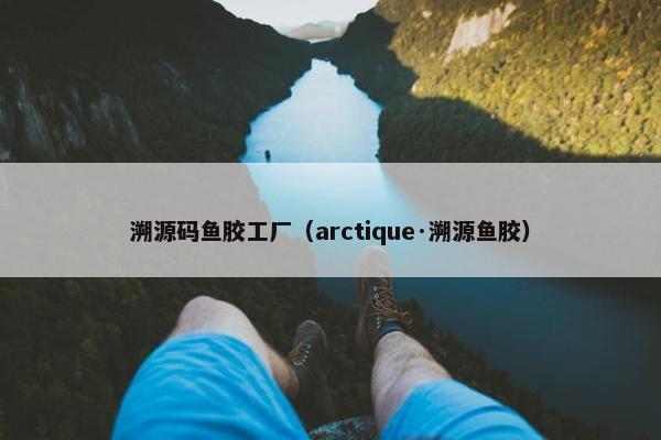溯源码鱼胶工厂（arctique·溯源鱼胶）