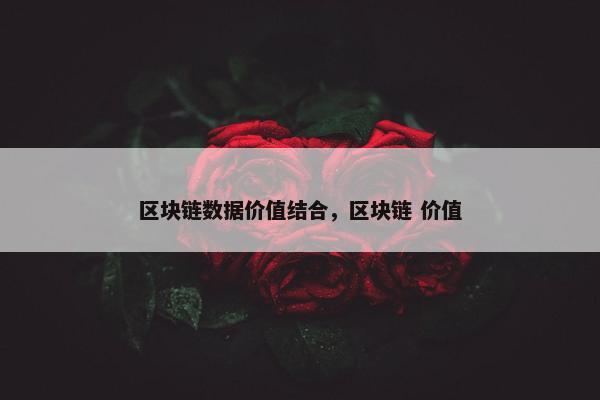 区块链数据价值结合，区块链 价值