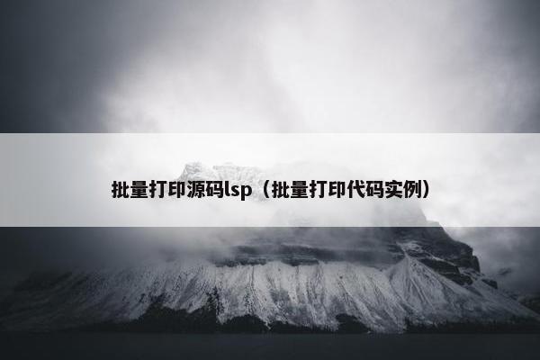 批量打印源码lsp（批量打印代码实例）