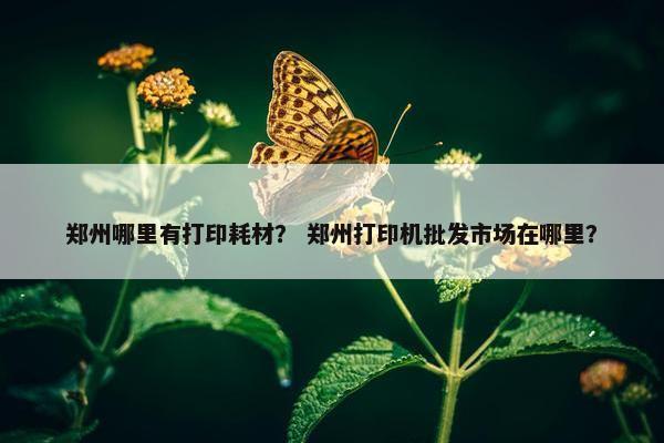 郑州哪里有打印耗材？ 郑州打印机批发市场在哪里？