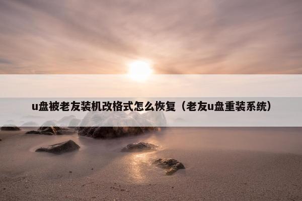 u盘被老友装机改格式怎么恢复（老友u盘重装系统）