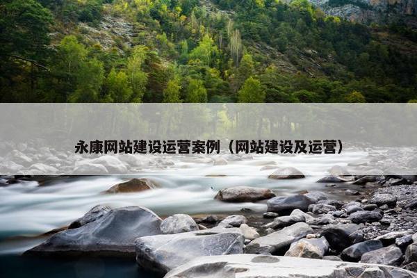 永康网站建设运营案例（网站建设及运营）