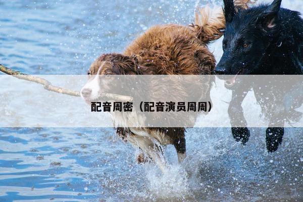 配音周密（配音演员周周）