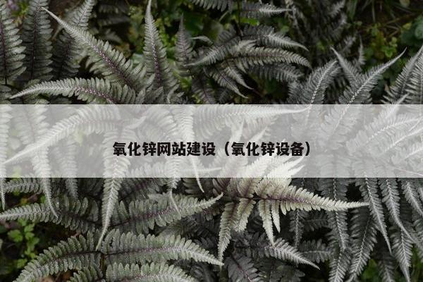 氧化锌网站建设（氧化锌设备）