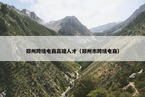 郑州跨境电商高端人才（郑州市跨境电商）