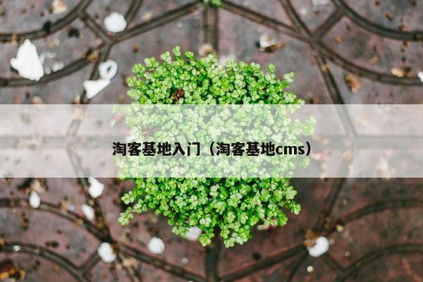 淘客基地入门（淘客基地cms）