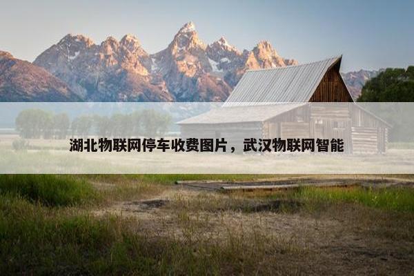 湖北物联网停车收费图片，武汉物联网智能