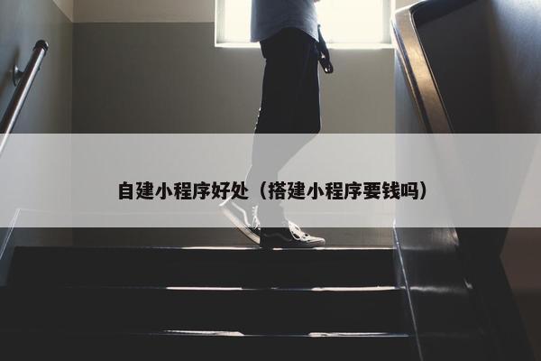自建小程序好处（搭建小程序要钱吗）