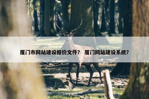 厦门市网站建设报价文件？ 厦门网站建设系统？