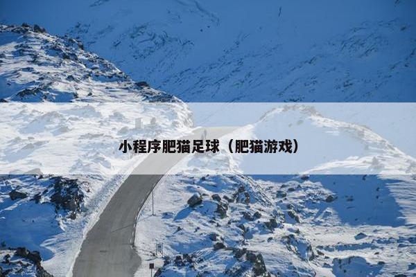 小程序肥猫足球（肥猫游戏）
