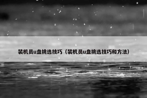 装机员u盘挑选技巧（装机员u盘挑选技巧和方法）