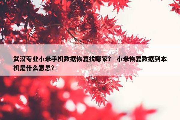 武汉专业小米手机数据恢复找哪家？ 小米恢复数据到本机是什么意思？