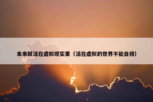 本来就活在虚拟现实里（活在虚拟的世界不能自拔）