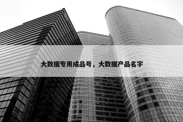 大数据专用成品号，大数据产品名字