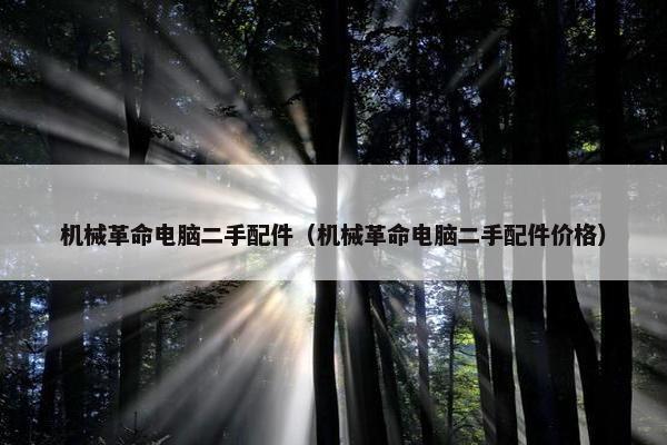 机械革命电脑二手配件（机械革命电脑二手配件价格）