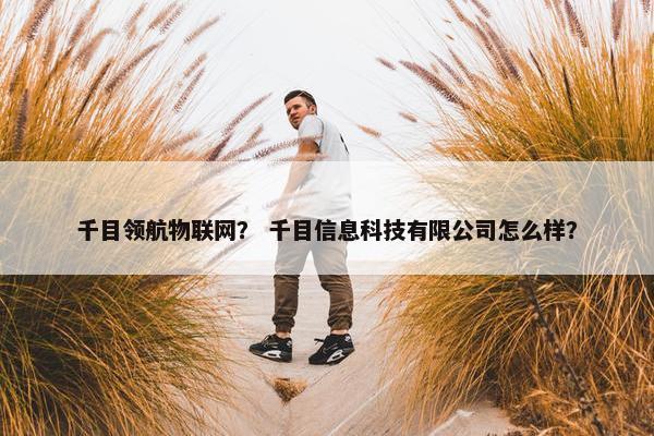 千目领航物联网？ 千目信息科技有限公司怎么样？
