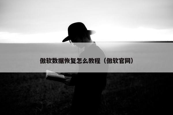 傲软数据恢复怎么教程（傲软官网）