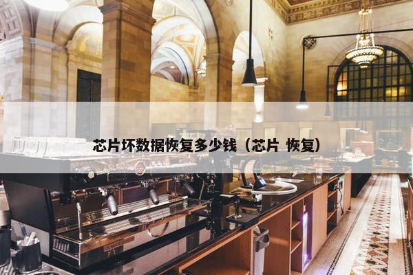 芯片坏数据恢复多少钱（芯片 恢复）