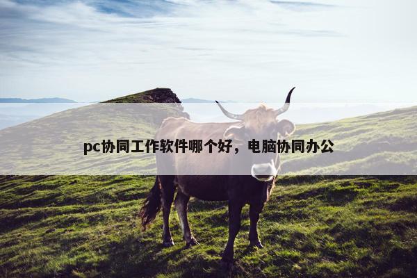 pc协同工作软件哪个好，电脑协同办公