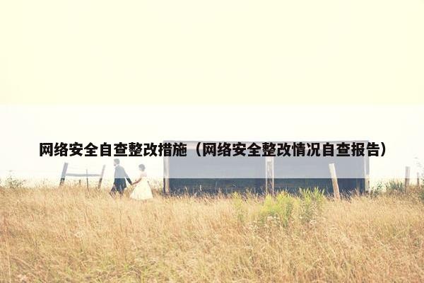 网络安全自查整改措施（网络安全整改情况自查报告）