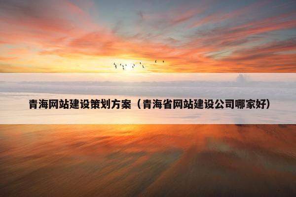 青海网站建设策划方案（青海省网站建设公司哪家好）