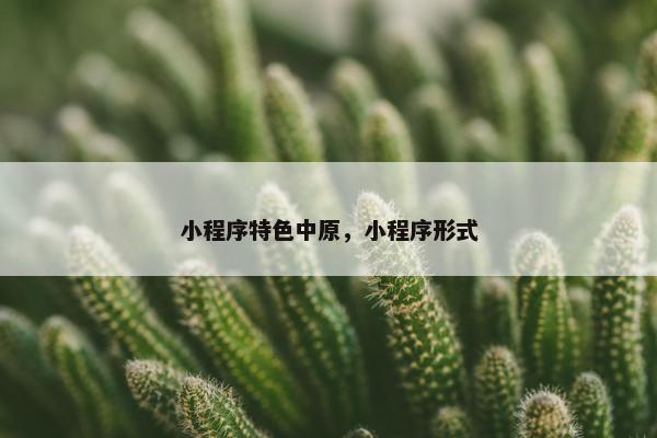 小程序特色中原，小程序形式