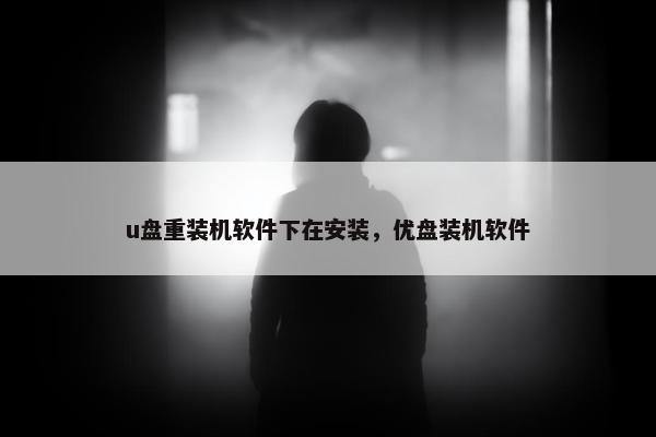 u盘重装机软件下在安装，优盘装机软件