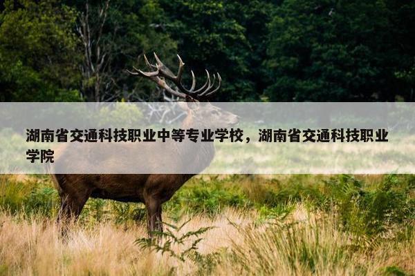 湖南省交通科技职业中等专业学校，湖南省交通科技职业学院