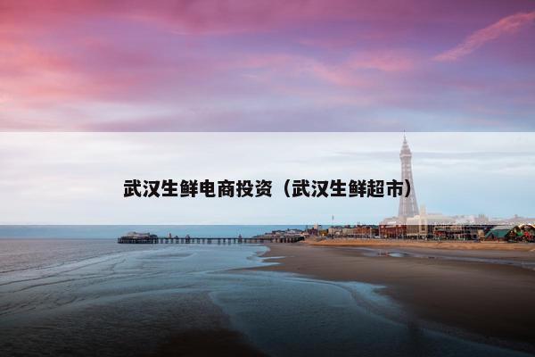 武汉生鲜电商投资（武汉生鲜超市）
