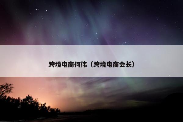 跨境电商何伟（跨境电商会长）