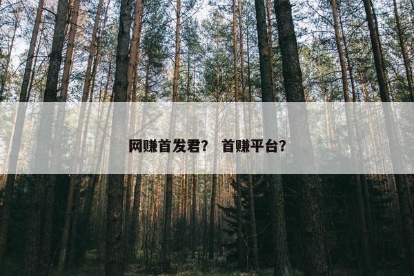 网赚首发君？ 首赚平台？