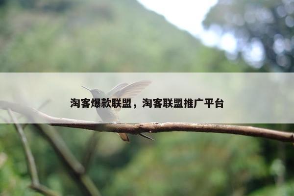 淘客爆款联盟，淘客联盟推广平台
