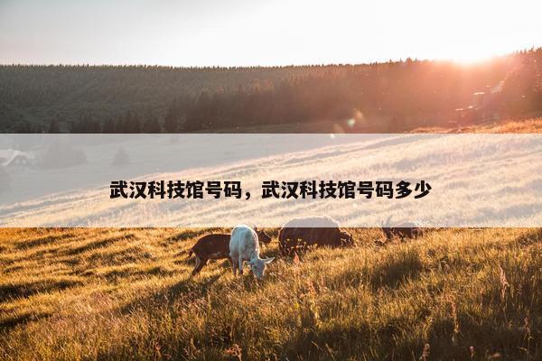 武汉科技馆号码，武汉科技馆号码多少