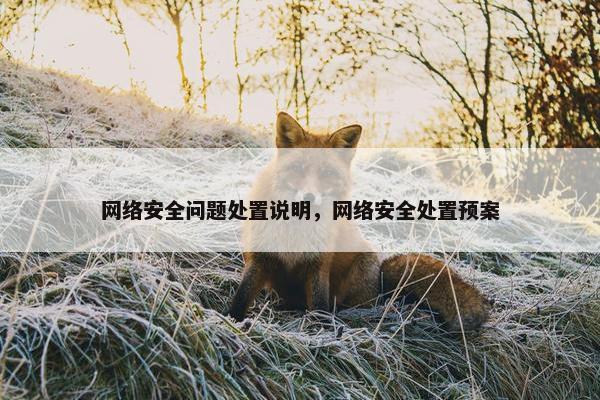 网络安全问题处置说明，网络安全处置预案