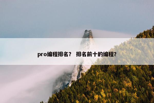 pro编程排名？ 排名前十的编程？