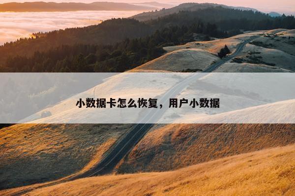 小数据卡怎么恢复，用户小数据