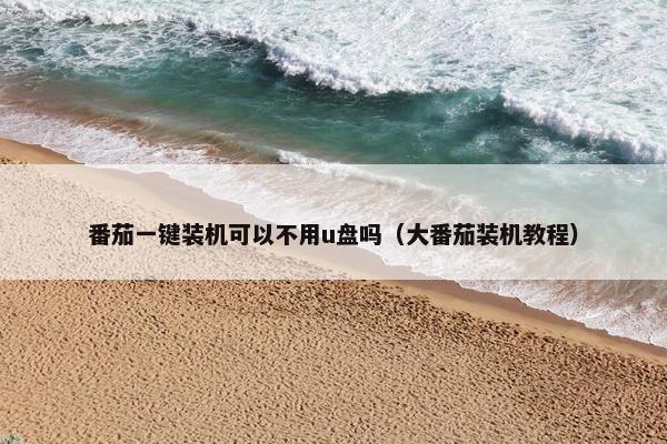 番茄一键装机可以不用u盘吗（大番茄装机教程）