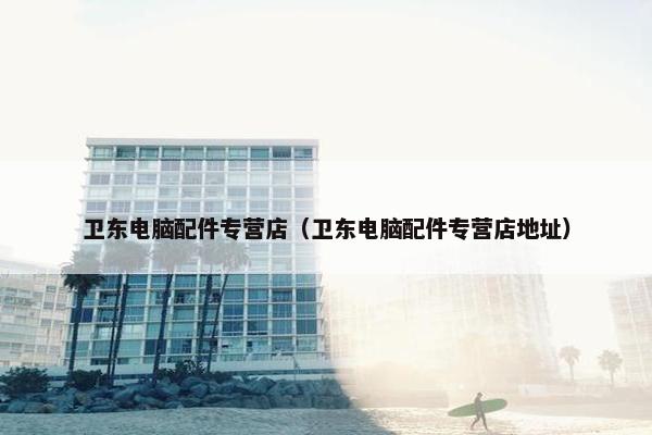 卫东电脑配件专营店（卫东电脑配件专营店地址）