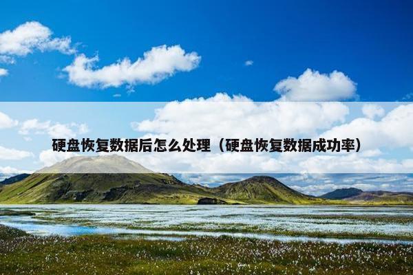 硬盘恢复数据后怎么处理（硬盘恢复数据成功率）